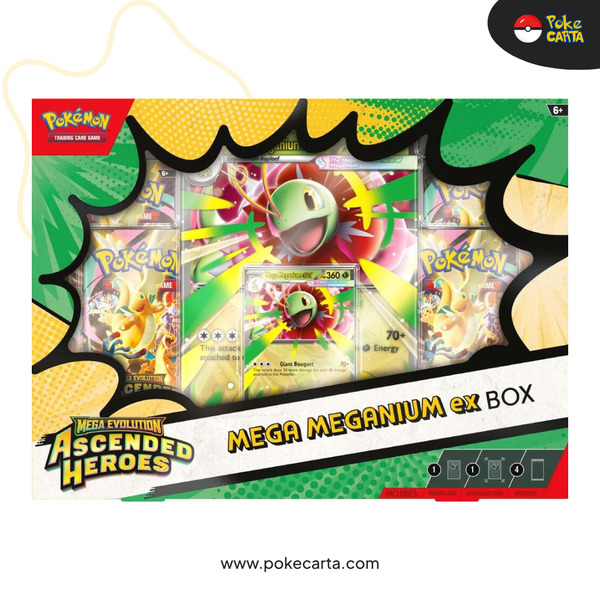 POKÉMON: ASCENDED HEROES - MEGA MEGANIUM EX BOX (EN)
